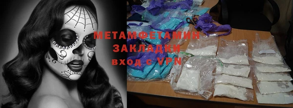 ПСИЛОЦИБИНОВЫЕ ГРИБЫ Богданович