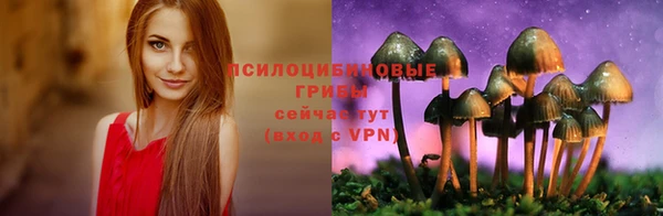 ПСИЛОЦИБИНОВЫЕ ГРИБЫ Богданович