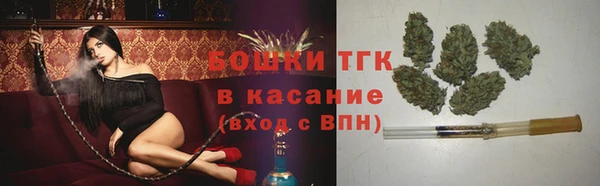 сатива Богородицк