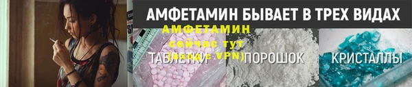 ПСИЛОЦИБИНОВЫЕ ГРИБЫ Богданович