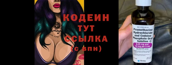 ПСИЛОЦИБИНОВЫЕ ГРИБЫ Богданович