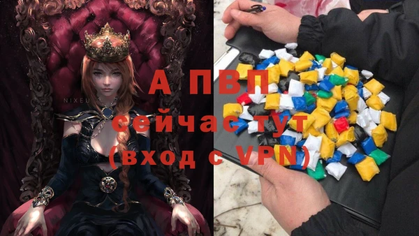 сатива Богородицк
