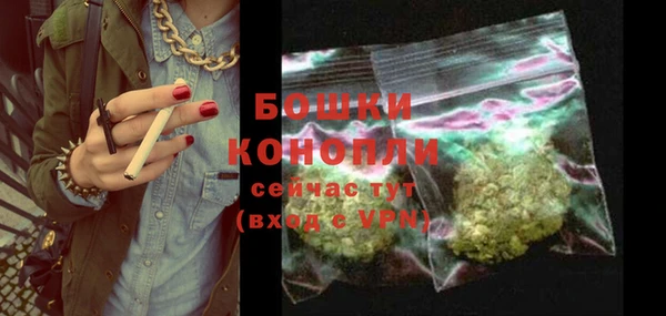 ПСИЛОЦИБИНОВЫЕ ГРИБЫ Богданович