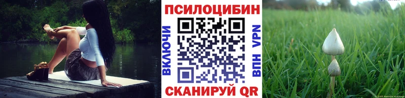 гидра ссылки  Мончегорск  Псилоцибиновые грибы MAGIC MUSHROOMS  закладки 
